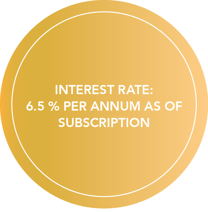 Note with the text: INTEREST RATE: 6.5 % PER ANNUM AS OF SUBSCRIPTION